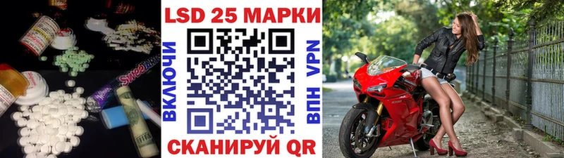 Купить закладки  Волхов  LSD-25 экстази кислота 