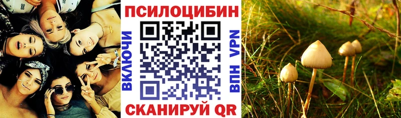 Галлюциногенные грибы Psilocybe  Купить  Волхов 